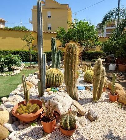 Apartamento Il Giardino Di Piero San Leone Exterior foto